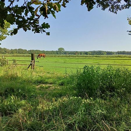 B&B Het Mooie Uitzicht Reuver Екстер'єр фото