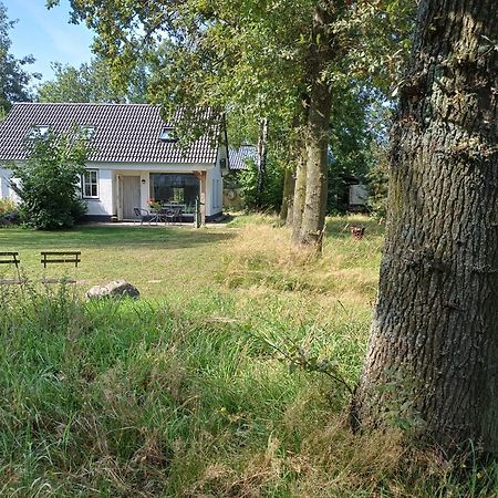B&B Het Mooie Uitzicht Reuver Екстер'єр фото