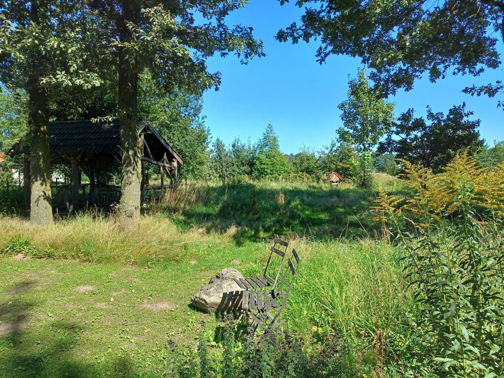 B&B Het Mooie Uitzicht Reuver Екстер'єр фото