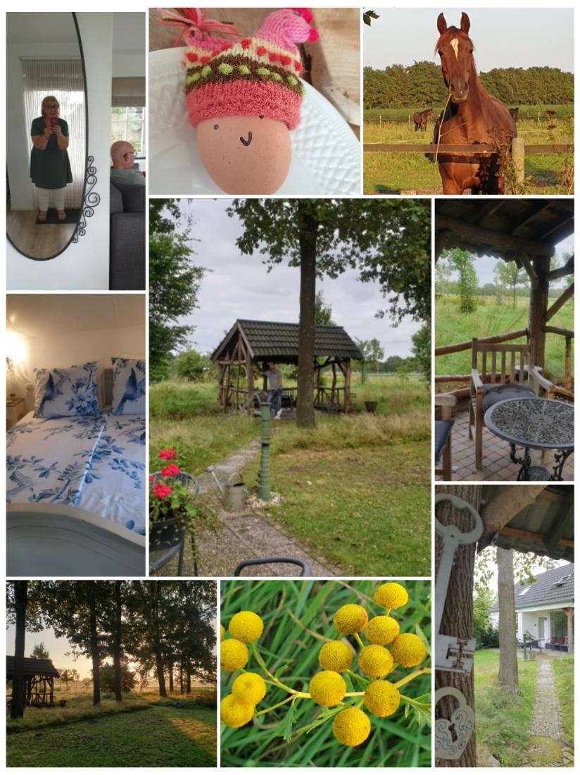B&B Het Mooie Uitzicht Reuver Екстер'єр фото