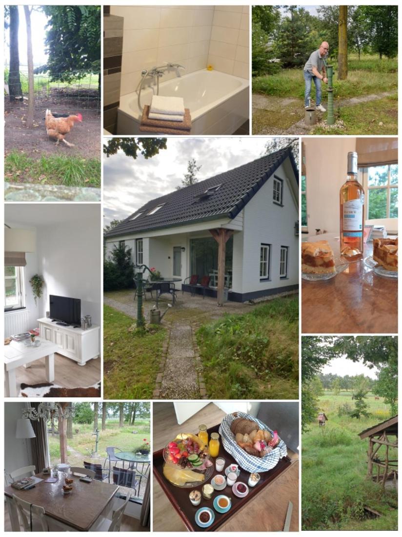 B&B Het Mooie Uitzicht Reuver Екстер'єр фото